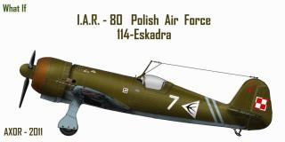 Imagine atasata: iar_80_polish_114_eskadra_a.jpg