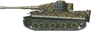 Imagine atasata: tiger29.jpg