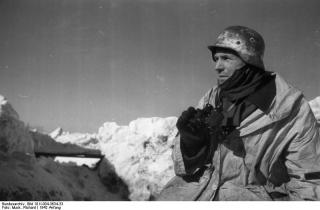 Imagine atasata: Bundesarchiv_Bild_101I-004-3634-33%252C_Russland%252C_Cholm%252C_Soldat_mit_Feldstecher1.jpg