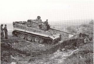 Imagine atasata: Tiger 332 mud autumn.jpg