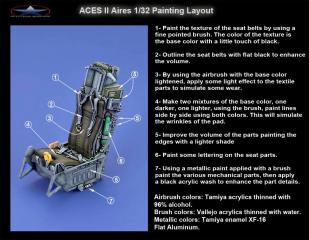 Imagine atasata: 19.ACES II Aires 1-32 Painting Layout.jpg