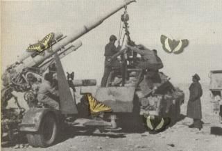 Imagine atasata: sdkfz   pak38 foto africa.jpg