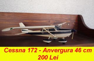 Imagine atasata: Cessna 172 - scala 1-23 - apertura alare cm 46 - 03 .jpg