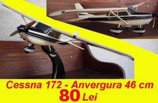 Imagine atasata: Cessna 172 - scala 1-23 - anverg 46cm suport.jpg