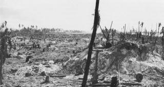 Imagine atasata: USMC_M_Tarawa_p11.jpg