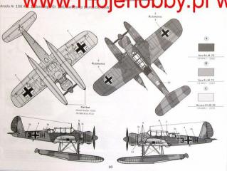 Imagine atasata: Schema vopsire Ar-196.JPG