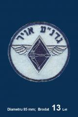 Imagine atasata: Israel Aero Club - Brodat - 13 Lei.jpg