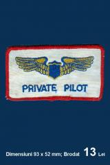 Imagine atasata: Private Pilot - Brodat - 13 Lei.jpg