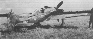 Imagine atasata: Fw_190_D-13.jpg