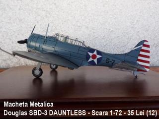 Imagine atasata: Macheta Metalica - Douglas SBD-3 DAUNTLESS - Scara 1-72 - 35 Lei (12).JPG