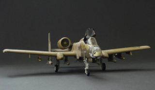 Imagine atasata: A-10 Warthog Peanut scheme - a.jpg