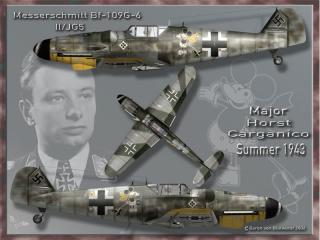 Imagine atasata: bbbf109g6jg52mcarganico.jpg