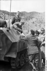 Imagine atasata: Bundesarchiv_Bild_101I_711_0412_23_2C_Russland_S_C3_BCd_2C_deutsche_und_rum_C3_A4nische_Offiziere.jpg