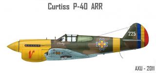 Imagine atasata: Curtiss P-40-ARR1.JPG